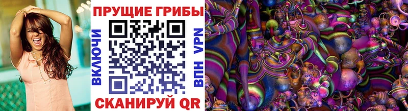 Галлюциногенные грибы Magic Shrooms  где продают   Петрозаводск 